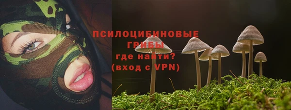 гашиш Михайлов