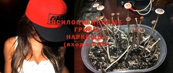 сатива Наволоки