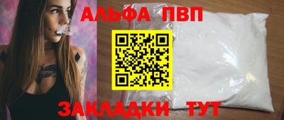спиды Кингисепп