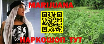 спиды Кингисепп