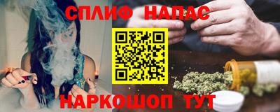 спиды Кингисепп