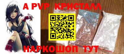 спиды Кингисепп
