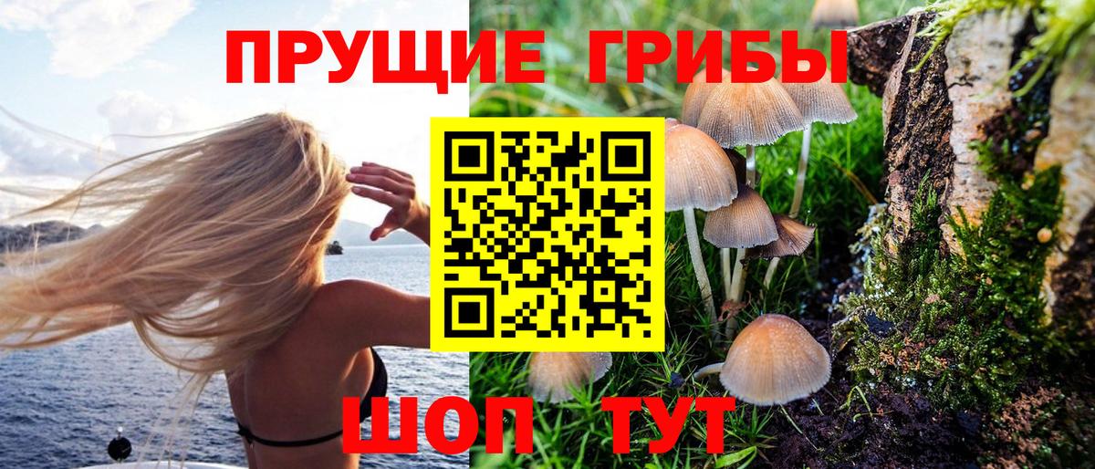Псилоцибиновые грибы Psilocybine cubensis Прокопьевск